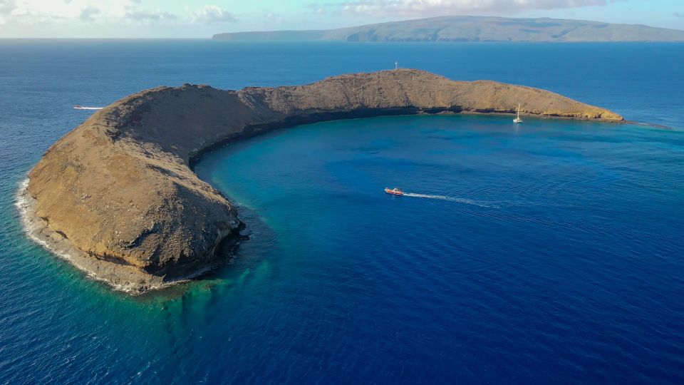 From Kihei: Molokini Crater and Turtle Town Snorkeling - Price and value: does $179 make sense for your Maui day?