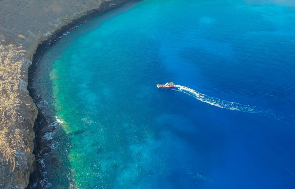 From Kihei: Molokini Crater and Turtle Town Snorkeling - Why Molokini and Turtle Town in one 3-hour plan works