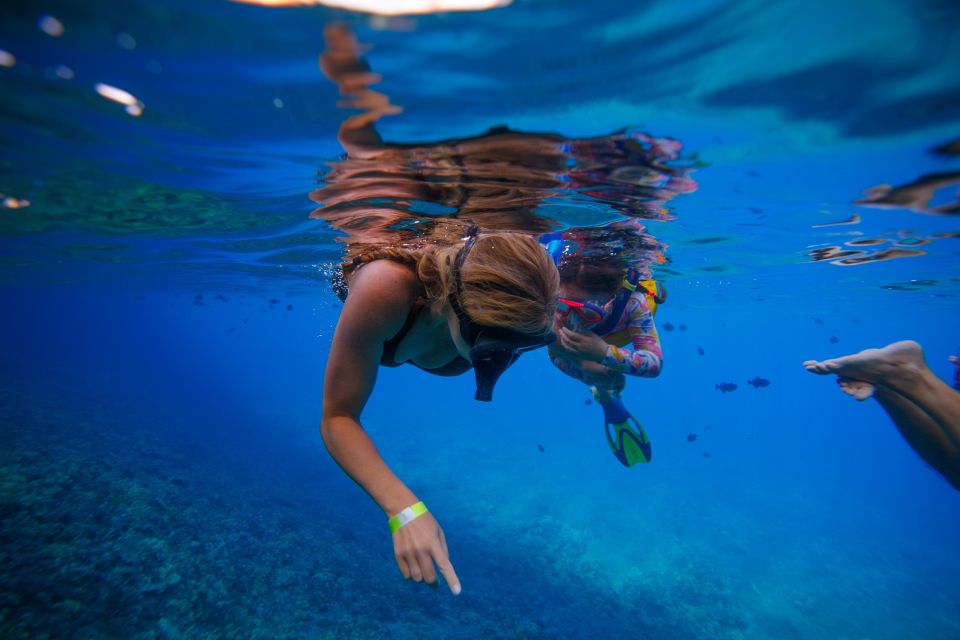 From Kihei: Molokini Crater and Turtle Town Snorkeling - Turtle Town snorkeling after lunch: getting your best chance at honu