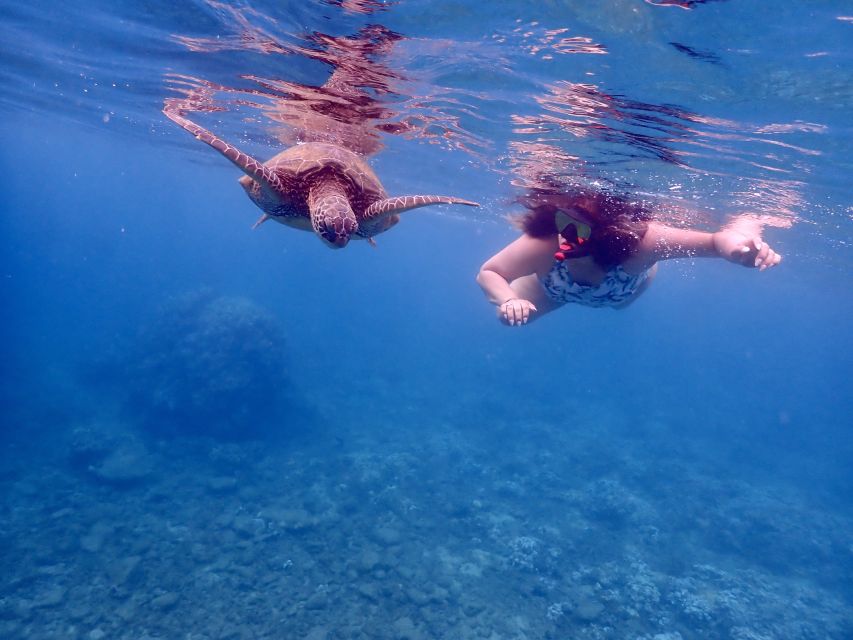 From Kihei: Molokini Crater and Turtle Town Snorkeling - How strenuous is this, really? The ladder, the walking, and the limits