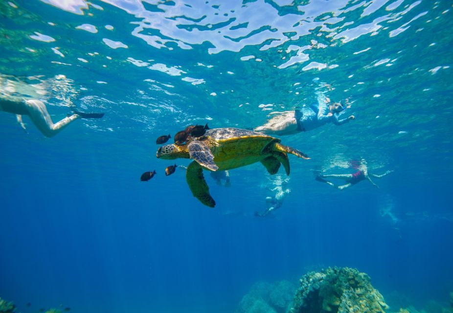 From Kihei: Molokini Snorkel 2-Hour Adventure - The Getaway 40-foot raft: why the ride style matters