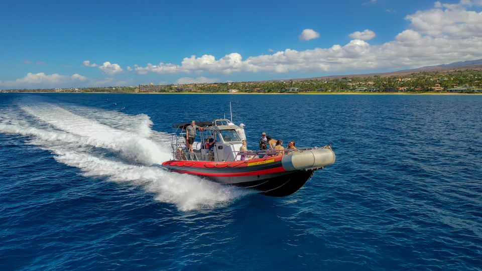 From Kihei: Molokini Snorkel 2-Hour Adventure - Stop 1: Makena Bay whale-watching and briefing (about 30 minutes)