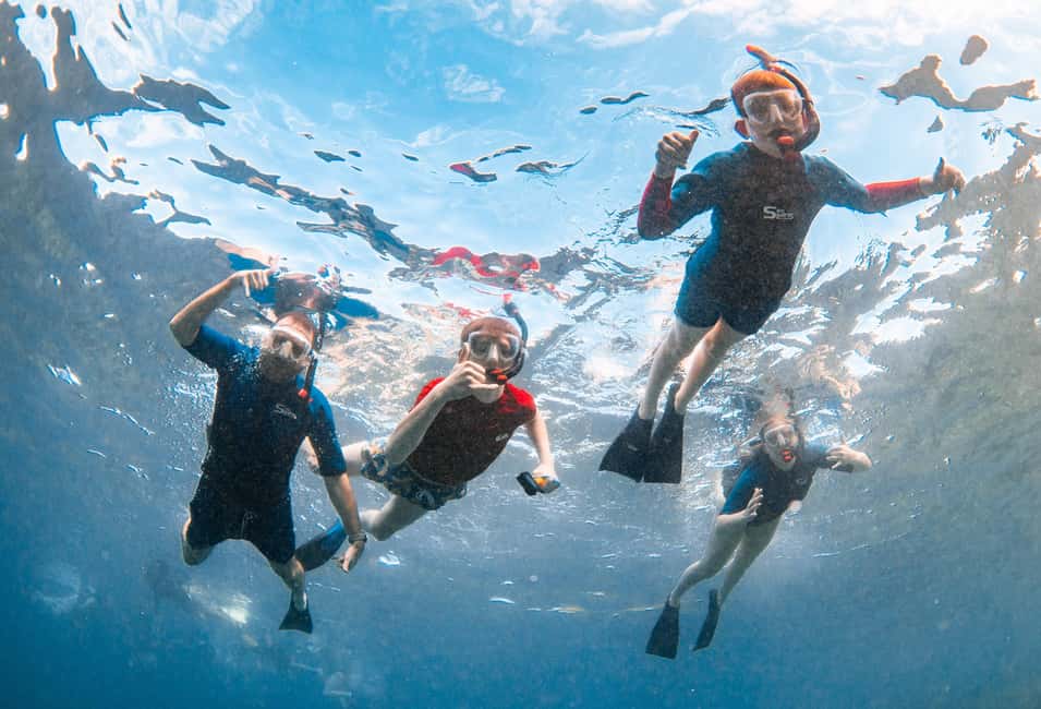 From Kihei: Molokini Snorkel 2-Hour Adventure - Stop 3: the return cruise and extra whale/dolphin time (about 30 minutes)