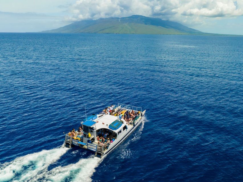 From Ma'alaea: Afternoon Whale Watch Tour Aboard the Malolo - Captain and Crew Briefings That Make Sighting Skills Click