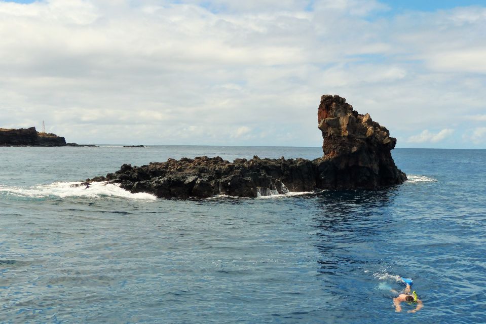 From Ma'alaea: AM Turtle Town Snorkel Aboard Quicksilver - Whale and dolphin watching: how to get the most from it