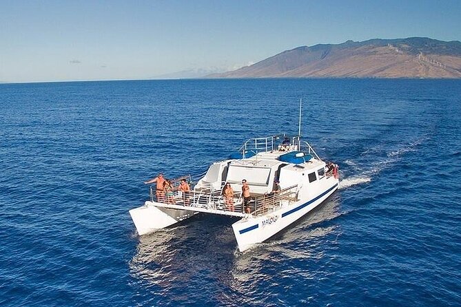 From Ma'alaea Harbor: Sunset Whale Watch Tour Aboard the Malolo - Key things to know before you go