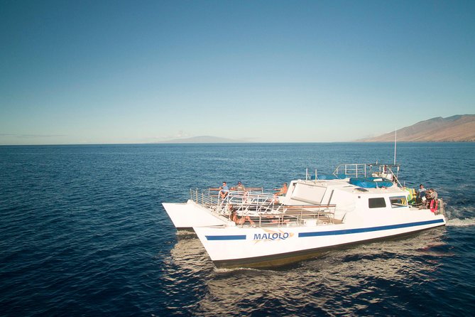 From Ma'alaea Harbor: Whale Watch Cruise Aboard the Malolo - Hearing whale songs through hydrophones (and what to listen for)