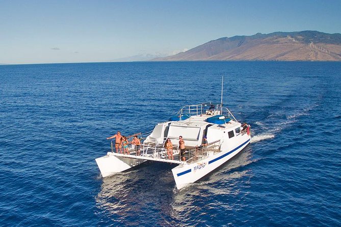 From Ma'alaea Harbor: Whale Watch Cruise Aboard the Malolo - Price and timing: is $49.95 worth your afternoon?