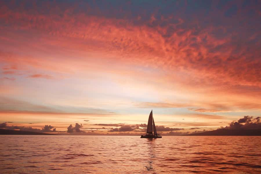 From Ma'alaea: Maui Sunset Cruise with Drinks and Snacks - Cruising the Au‘Au Channel: Where the Horizon Actually Sits Still