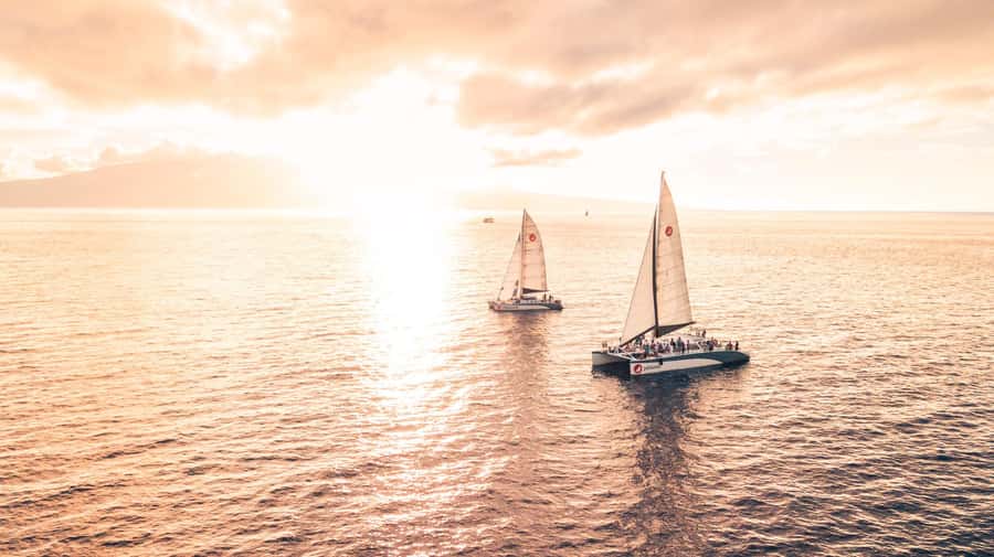 From Ma'alaea: Maui Sunset Cruise with Drinks and Snacks - Who Should Book This and Who Might Skip It