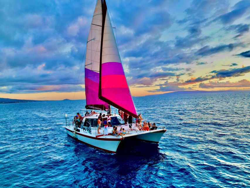 From Maalaea: Whale Watching Catamaran Cruise with Drinks - Hydrophones and the Marine Biologist Talk: What You’ll Learn Beyond Sightings