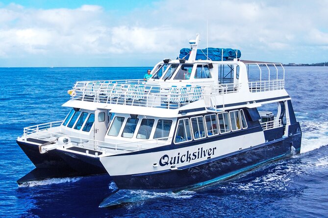From Maalaea: Whale Watching Tour Aboard the Quicksilver - Key things I’d watch for on Quicksilver whale watching