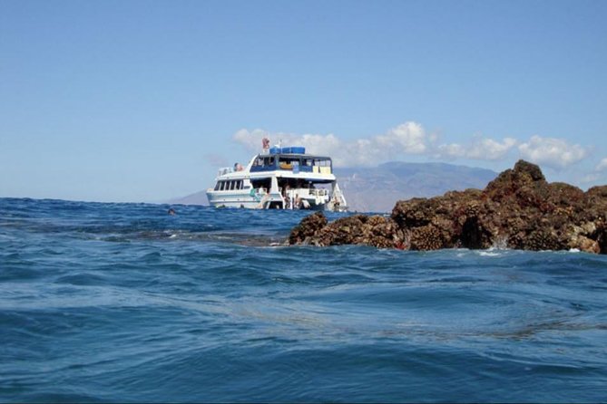 From Maalaea: Whale Watching Tour Aboard the Quicksilver - Price and value: is $59.95 a good deal for Maui whale watching?