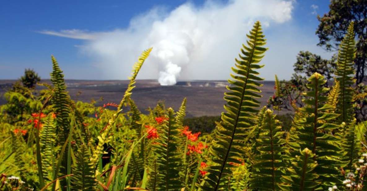 From Oahu: Big Island Volcano Adventure - Hawai‘i Volcanoes National Park: Halema‘au‘u, steam vents, and Kīlauea’s present tense