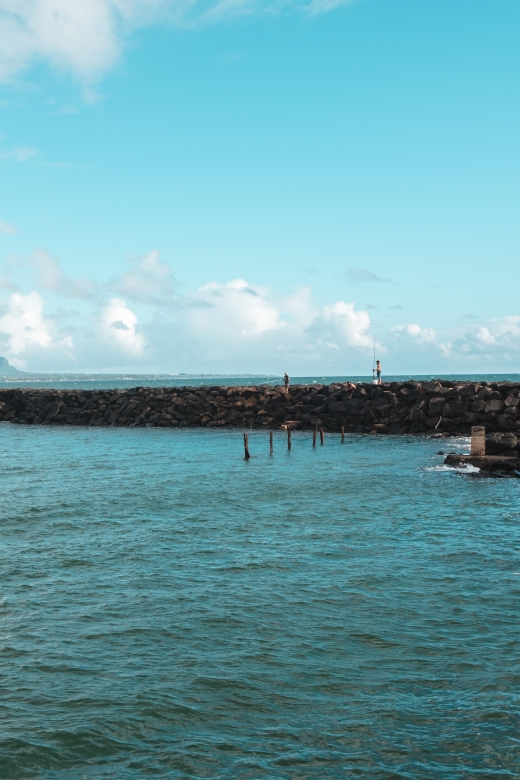 From Oahu: Kauai Highlights & Movie Sites - Key highlights to know before you go
