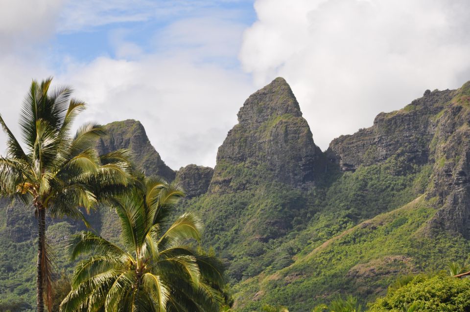 From Oahu: Kauai Highlights & Movie Sites - How this Kauai day trip runs from Honolulu (and why the timing matters)