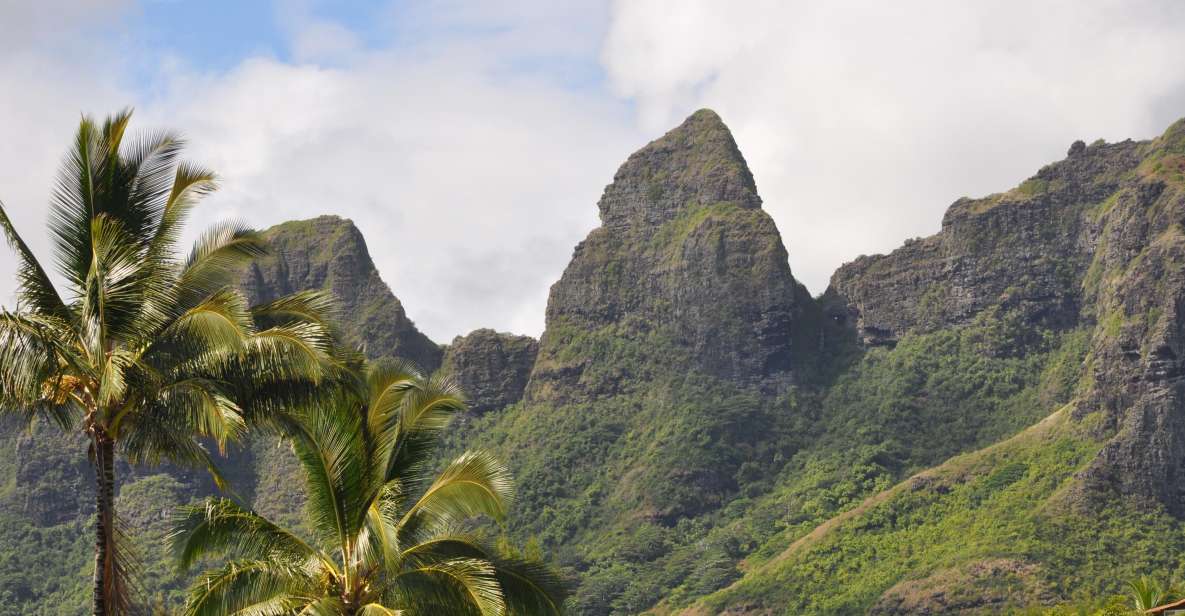 From Oahu: Kauai Highlights & Movie Sites - Opa‘eka‘a Falls: the waterfall start that sets the tone