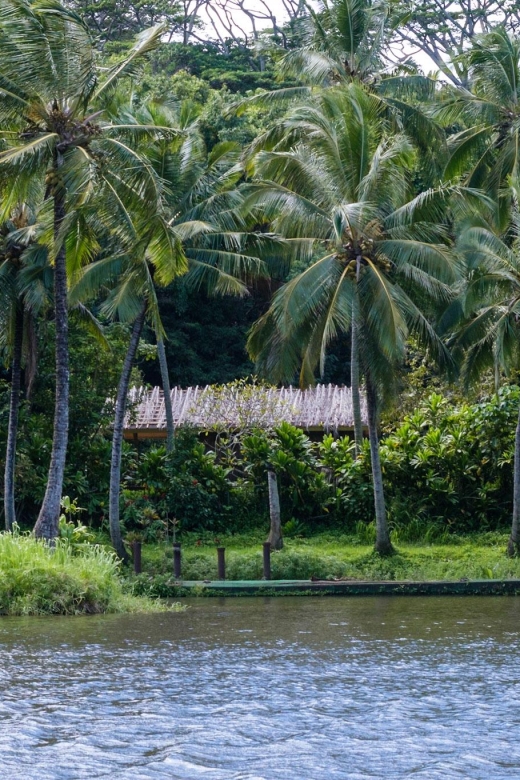 From Oahu: Kauai Waimea Canyon & Wailua River Tour - Old Kōloa Town, lunch on your own, and the Kauaʻi Coffee Company stop