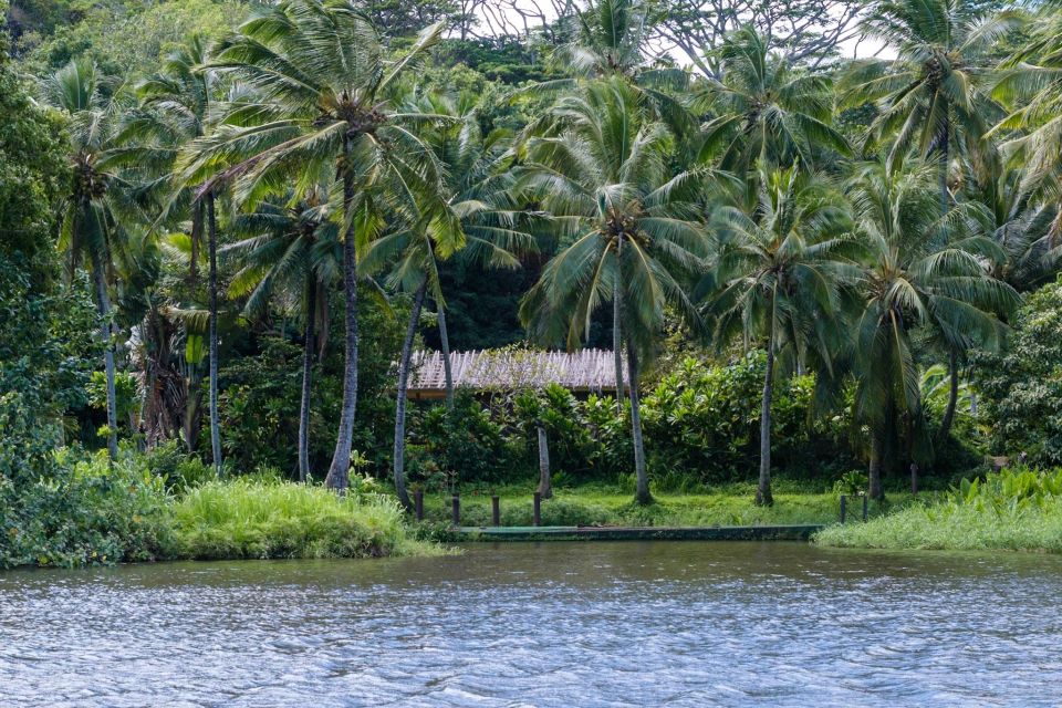 From Oahu: Kauai Waimea Canyon & Wailua River Tour - Wailua River cruise: Hawaii’s only navigable river in the real world