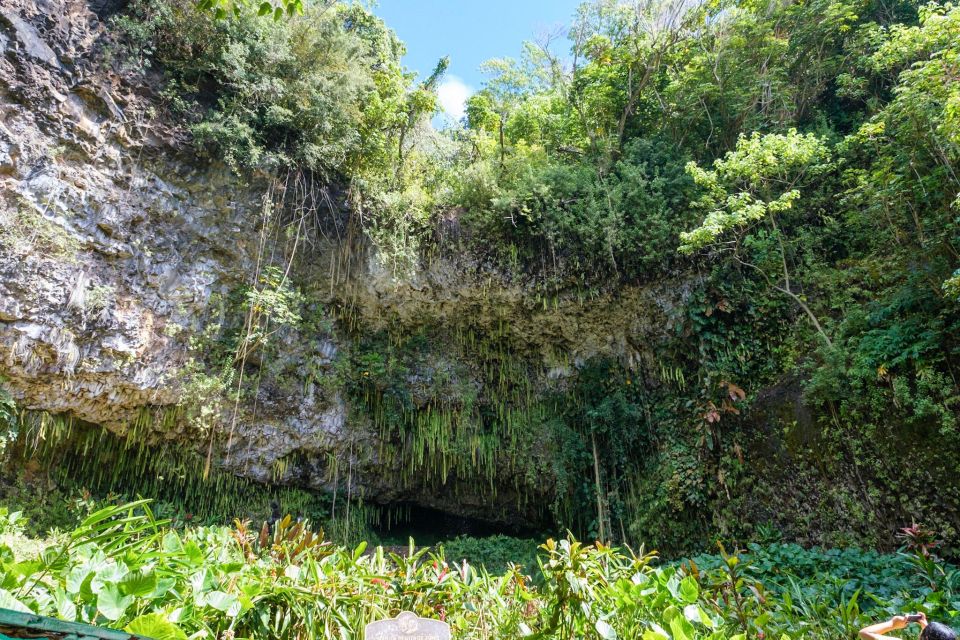 From Oahu: Kauai Waimea Canyon & Wailua River Tour - Price and value: is $575 per person reasonable for this day?