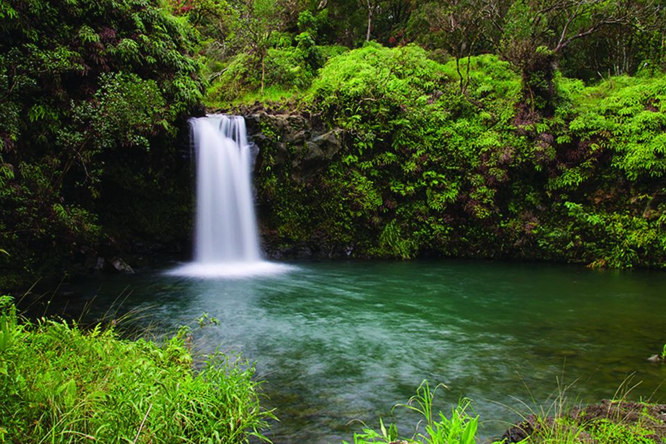From Oahu: Maui Road to Hana Sightseeing Tour - The Morning Routing: Paia and Coastal Views That Set the Tone