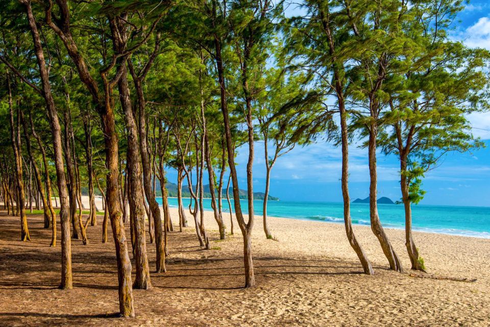 From Waikiki: Best of Oahu Photo Tour with Pickup - Makapu’u Point and Halona Beach Cove: sea cliffs that don’t need filters