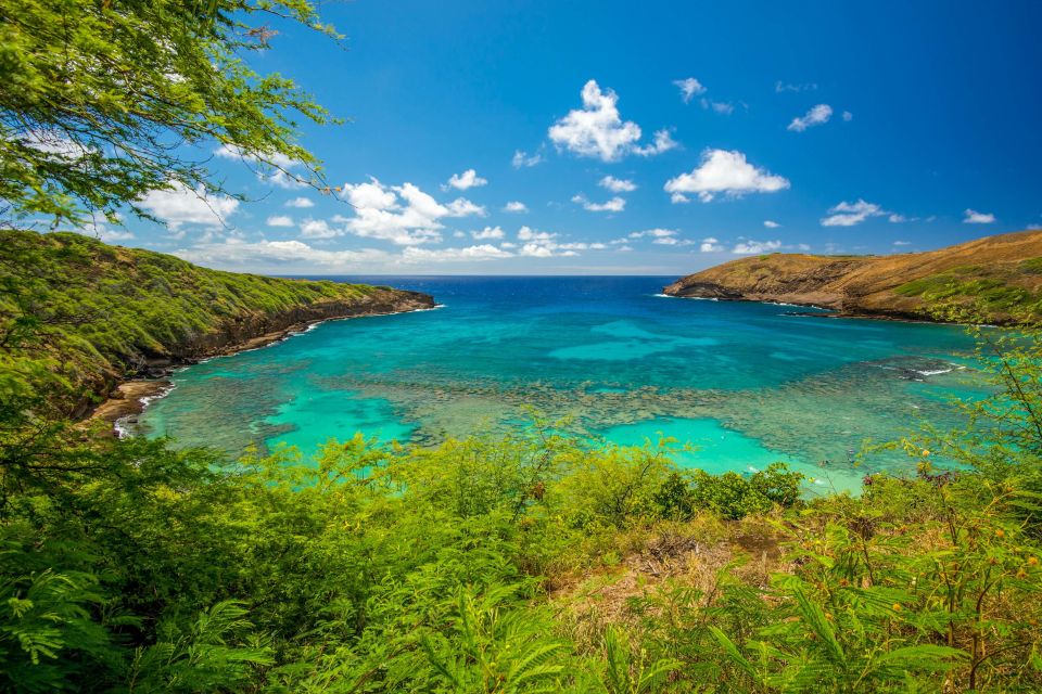From Waikiki: Best of Oahu Photo Tour with Pickup - Price and value: $99 for views plus real coaching