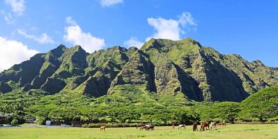 From Waikiki: Circle Island Tour - Getting comfortable: small group and a new A/C vehicle