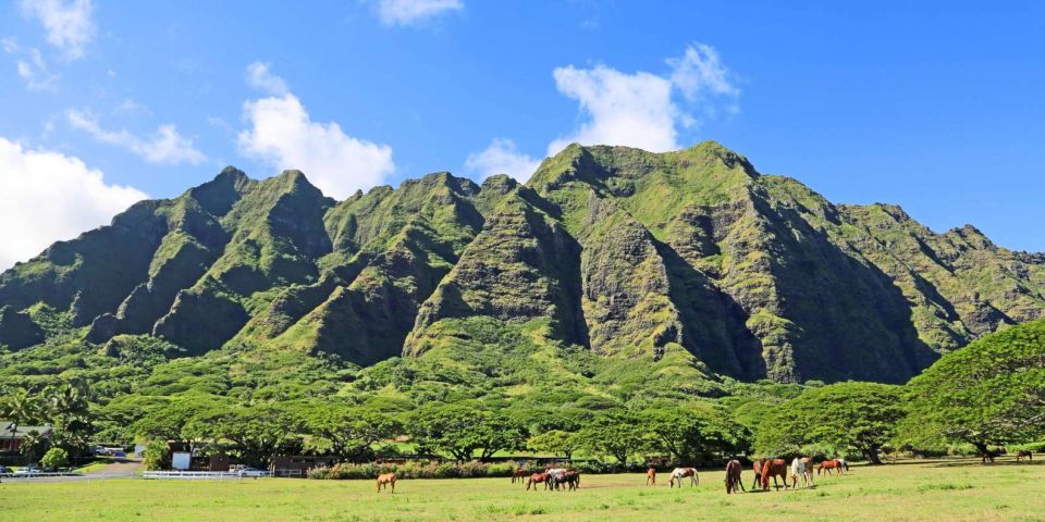 From Waikiki: Circle Island Tour - Getting comfortable: small group and a new A/C vehicle