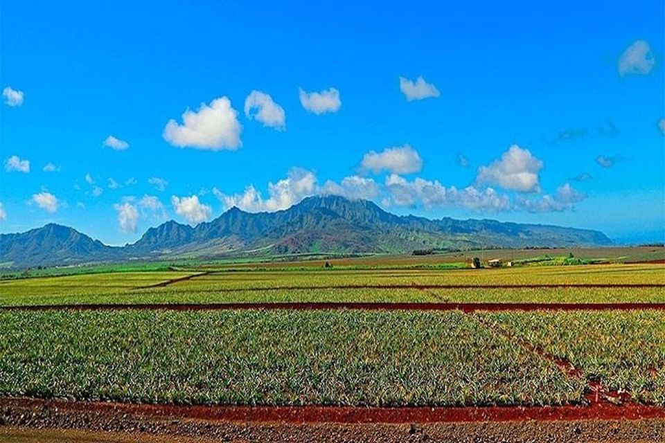 From Waikiki: Oahu Grand Circle Island Experience - Key Points Worth Your Time