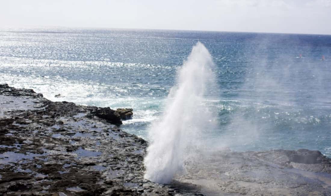 From Waikiki: Oahu Scenic Half-Day Circle Island Tour - Pickup timing: choosing 6:05 AM versus 9:00 AM