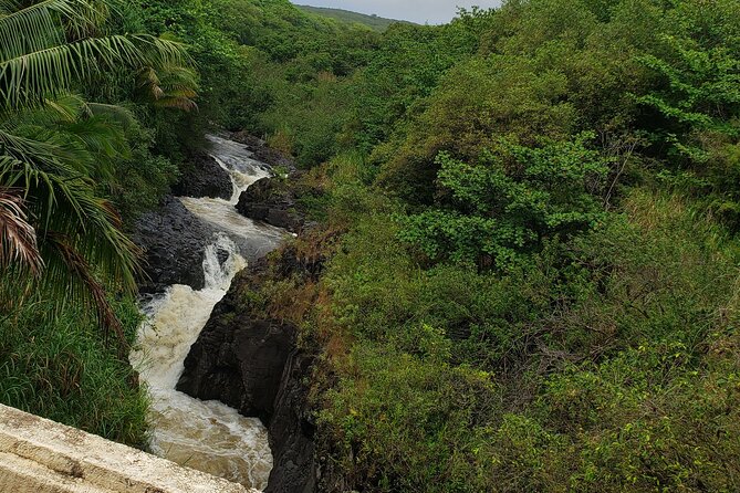 Full-Circle "Reverse" - Luxury Road to Hana Tour from South Maui - Kipahulu and Wailua Falls: Volcano Energy Starts Early
