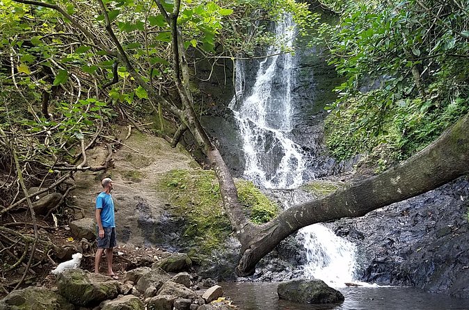 Full Day Oahu Bike, Hike, Sail and Snorkel Combo - Downhill Bike on Pu’u Ohia: Easy Legs, Real Views