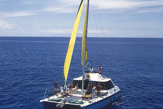 Full Day Oahu Bike, Hike, Sail and Snorkel Combo - Snorkeling the Pacific Reef: Gear, Beginner Tips, and Reality Checks