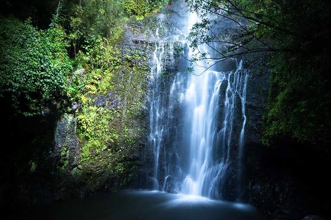 Full Day Private Maui Waterfall, Beach & Hana Tour - Kahului as your launching point, not a detour