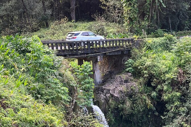 Full Day Private Maui Waterfall, Beach & Hana Tour - Pua’a Ka’a State Park: the double-falls payoff at Mile Marker 22.5