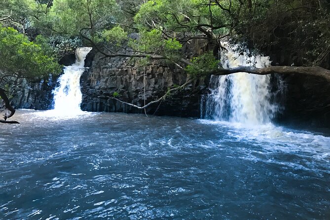 Full Day Private Maui Waterfall, Beach & Hana Tour - Wai’anapanapa State Park: black sand, blowholes, arches, and trails