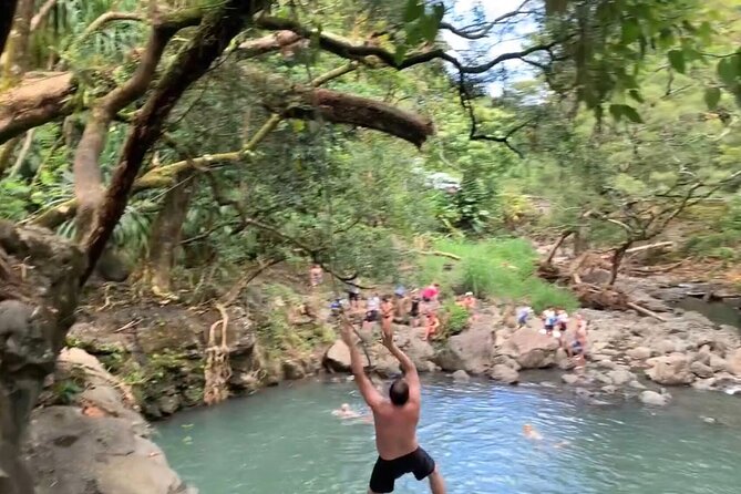 Full-Day Road to Hana and Waterfall Tour - The water, snacks, and guide style that make the schedule feel manageable