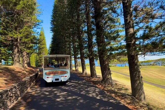 Fun & Affordable! West Maui Open-Air Sightseeing Tour! - Short stops vs long wandering: the one drawback to respect