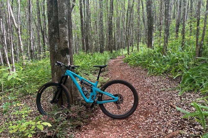 Fun Mountain Bike riding on trails in Maui Hawaii! - Key Highlights You’ll Feel on the Trail
