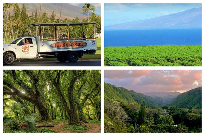 Fun! Open-Air Banyan Tree Forest & Blowhole Sight-Seeing MauiTour - Meeting at Whalers Village and what the ride is like