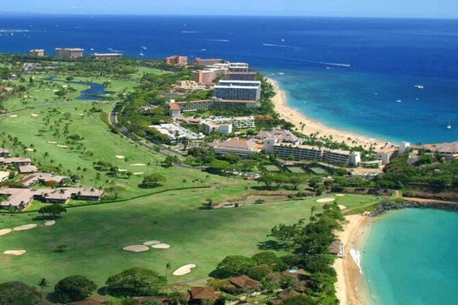 Fun! Open-Air Banyan Tree Forest & Blowhole Sight-Seeing MauiTour - Banyan tree forest and the West Maui mountain preserve feel
