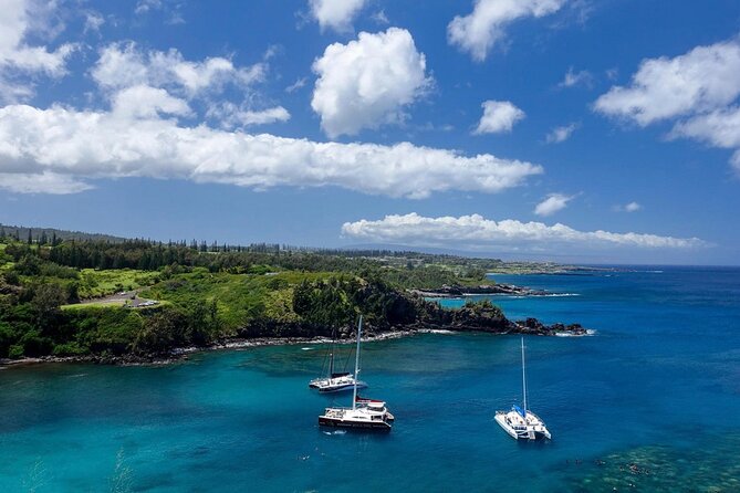 Fun! Open-Air Banyan Tree Forest & Blowhole Sight-Seeing MauiTour - Nakalele Blowhole: the stop everyone talks about