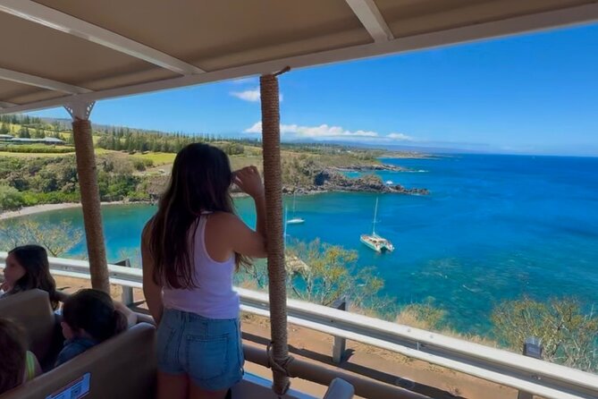 Fun! Open-Air Banyan Tree Forest & Blowhole Sight-Seeing MauiTour - Who this tour fits best (and who should skip it)