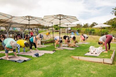 Goat Yoga with Miniature Goats In Maui - Arrive at 936 Keanuhea St and Settle In for a 2-Hour Session