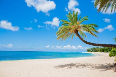 Grand Circle Island Tour - Hotel pickup and the ride comfort that makes the day easier