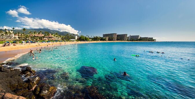 Guided Scuba Dive in Lahaina: Certified - Key highlights you should care about