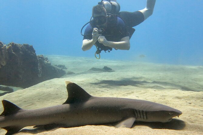 Guided Scuba Dive in Lahaina: Certified - Gear setup: equipment included, and you can still bring your own
