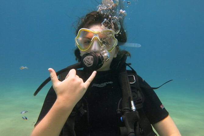 Guided Scuba Dive in Lahaina: Certified - Price and value: what $189 buys you (and what it doesn’t)