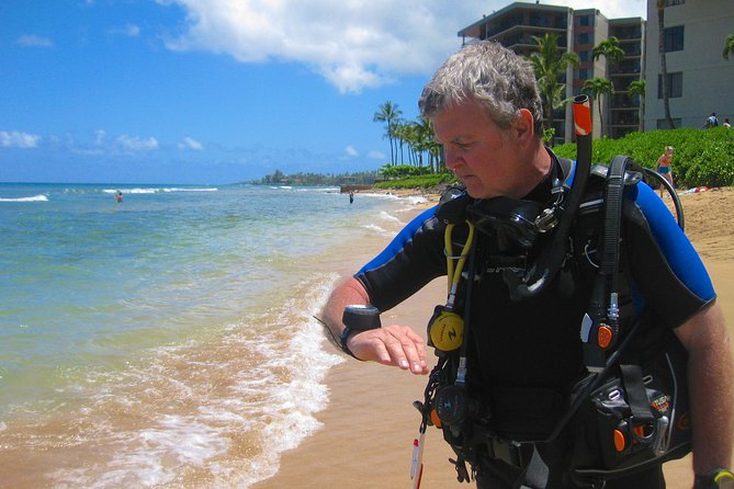 Guided Scuba Dive in Lahaina: Certified - Timing, logistics, and rules that actually matter